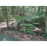 Wildpark_2c_13.jpg